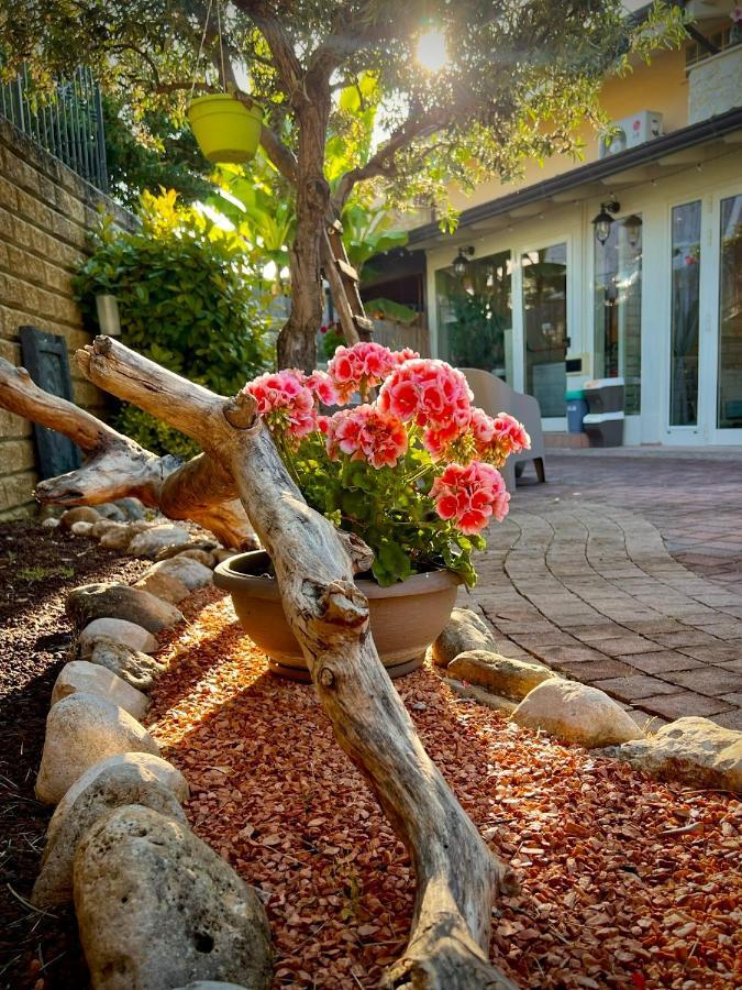 بيسكارا Peperosa In Collina B&B المظهر الخارجي الصورة